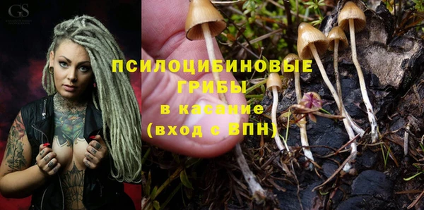 кокс Липки