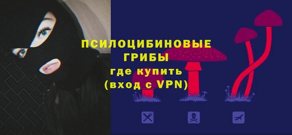 spice Лиски