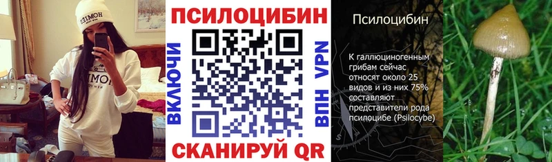 мега ссылка  закладка  Горячеводский  Псилоцибиновые грибы Psilocybine cubensis 